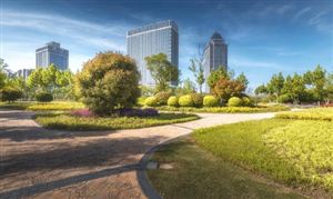 2024年中国轮胎市场深度调查研究(图2)