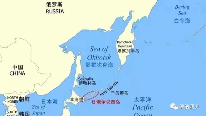 2024年全球格局及中国的对策(图13)