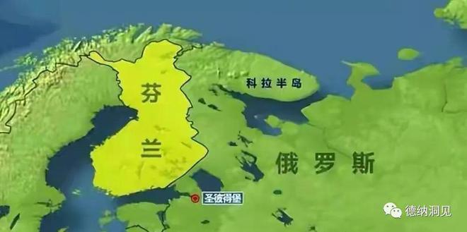 2024年全球格局及中国的对策(图11)