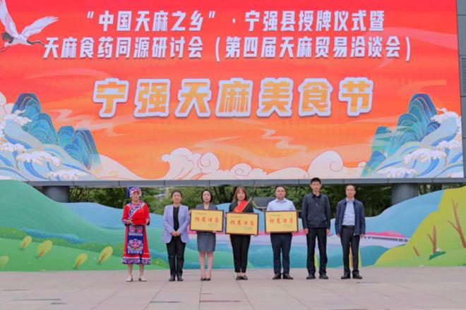 食药同源 健康共享|宁强举行2024年天麻美食节(图4) 食药同源 健康共享|宁强举行2024年天麻美食节(图4)