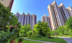 2024饲料行业市场调研与发展现状趋势(图6) 2024饲料行业市场调研与发展现状趋势(图6)