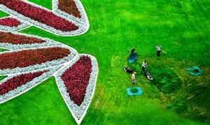 2024养老行业市场深度调研分析(图4) 2024养老行业市场深度调研分析(图4)