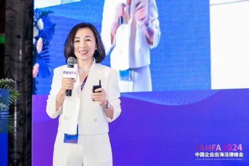 FAHFA 2024中国企业出海法律峰会于上海圆满落幕(图8)