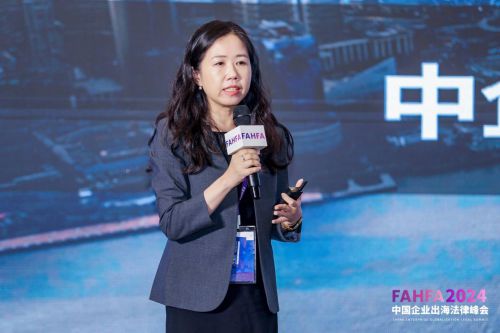 FAHFA 2024中国企业出海法律峰会于上海圆满落幕(图14)